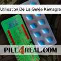 Utilisation De La Gelée Kamagra new03